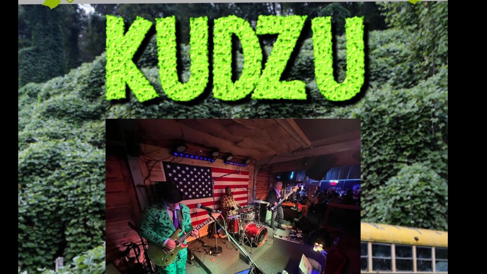 Kudzu